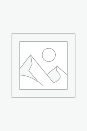 عنصر نائب Placeholder